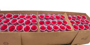 Bulk: Bright Red Rosas Preservadas  * 327 Cabezas de rosas