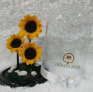 URNA DE CRISTAL XL COLARGEN TRES HERMOSOS GIRASOLES PRESERVADOS