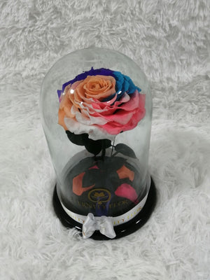 URNA DE CRISTAL XL CON UNA HERMOSA ROSA PRESERVADA RAINBOW JUMBO