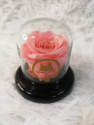 URNA DE CRISTAL XS CON UNA HERMOSA MINI ROSA PINK PRESERVADA