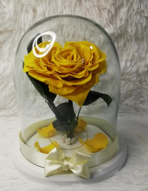 URNA DE CRISTAL L CON UNA HERMOSA ROSA PRESERVADA SUN YELLOW JUMBO EN FORMA DE CORAZON