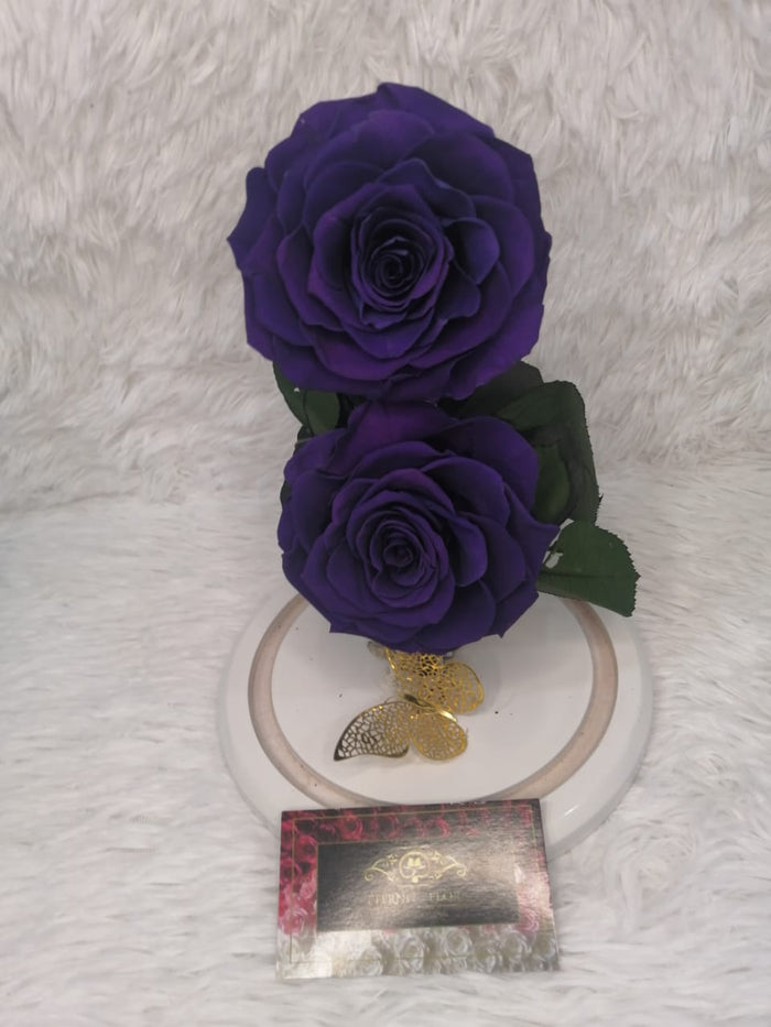 URNA DE CRISTAL XL CON DOS HERMOSAS ROSAS PRESERVADAS PURPLE