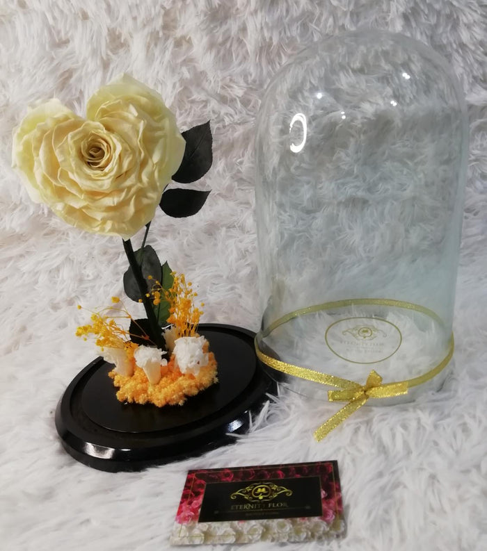 URNA DE CRISTAL XL CON UNA HERMOSA ROSA PRESERVADA WHITE CHOCOLATE EN FORMA DE CORAZÓN