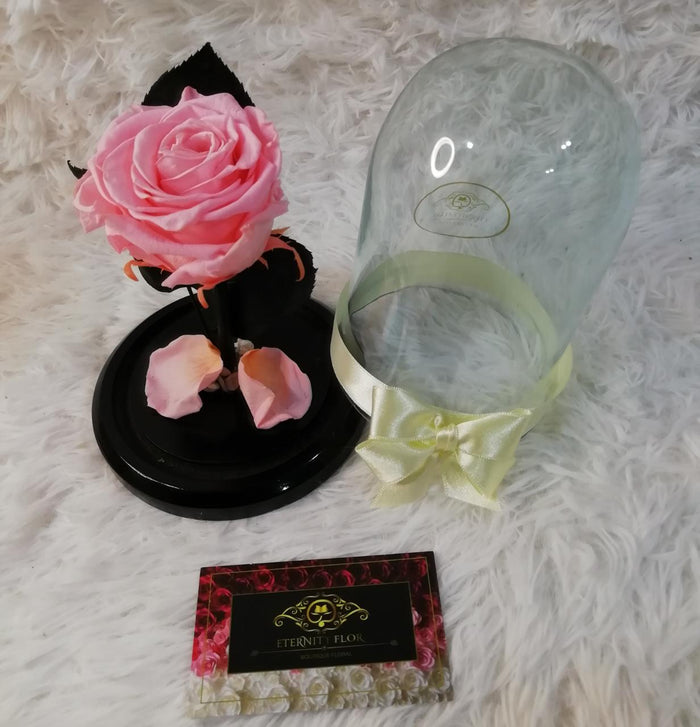 URNA DE CRISTAL M CON UNA HERMOSA ROSA PRESERVADA LIGHT PINK