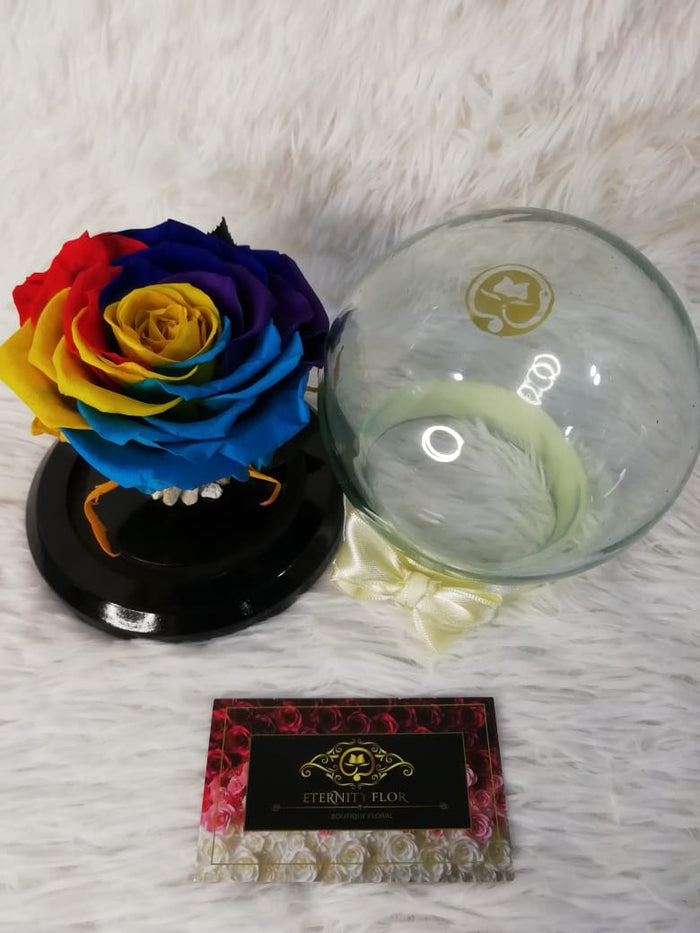 URNA DE CRISTAL BURBUJA  CON UNA HERMOSA ROSA RAINBOW XL