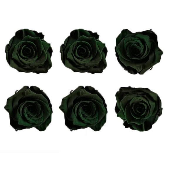Medium: Forest Rosas Preservadas  * 6 Cabezas de rosas
