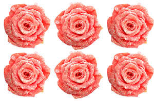 Medium: Glitter Salmon Rosas Preservadas * 6 cabezas de rosas