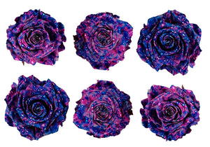 Medium: Confetti Lavender Coral Rosas Preservadas * 6 cabezas de rosas