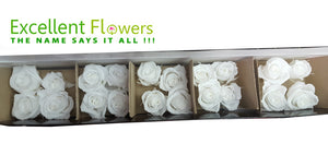 Mini Rosas: Pure White   Mini Rosas Preservadas  * 20 cabezas de rosas