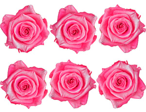 Medium: Pink Pearl Rosas Preservadas * 6 cabezas de rosas