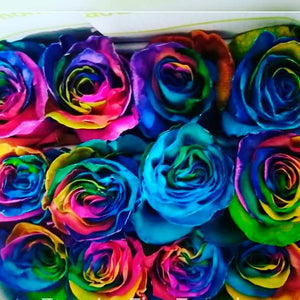 Rainbow Tinted Rose