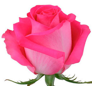 Bouquet 50 rosas Topaz