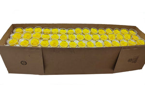 Bulk: Sun Yellow Rosas Preservadas  * 327 Cabezas de rosas