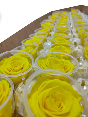 Bulk: Sun Yellow Rosas Preservadas  * 327 Cabezas de rosas